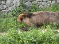 Camp 13 Sabri (236)